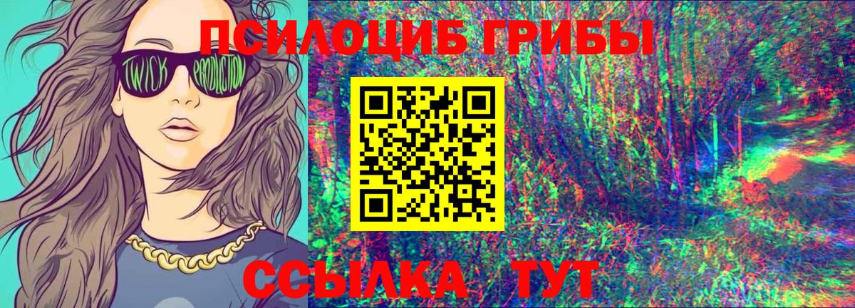 Псилоцибиновые грибы GOLDEN TEACHER  где купить   Богородск  Вход с VPN 