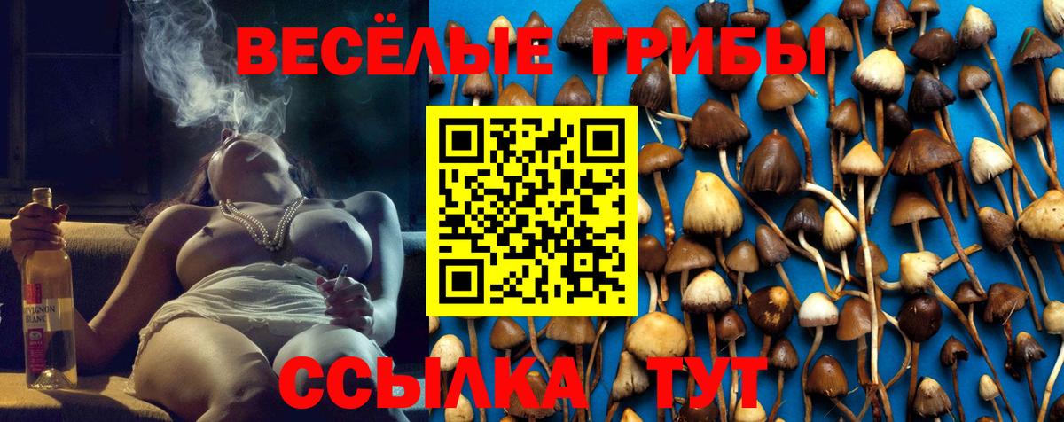 Псилоцибиновые грибы мицелий Богородск